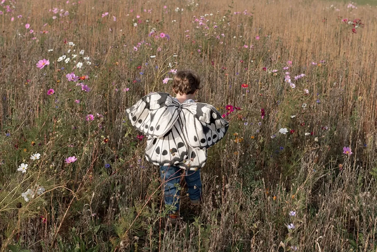 The most meaningful games
rarely need instructions.

A path, a breeze,
something soft to hold, 
and time to wander.