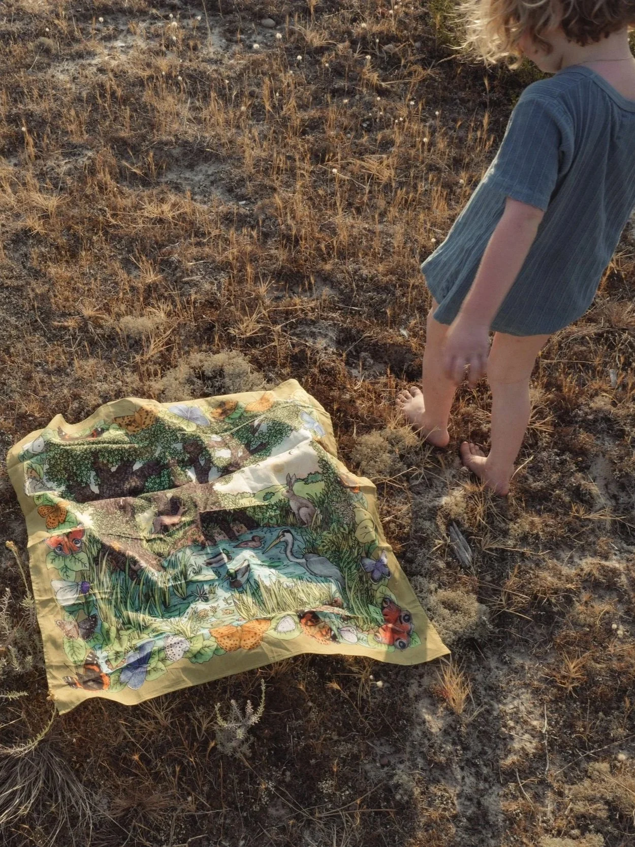 L2230746.jpg