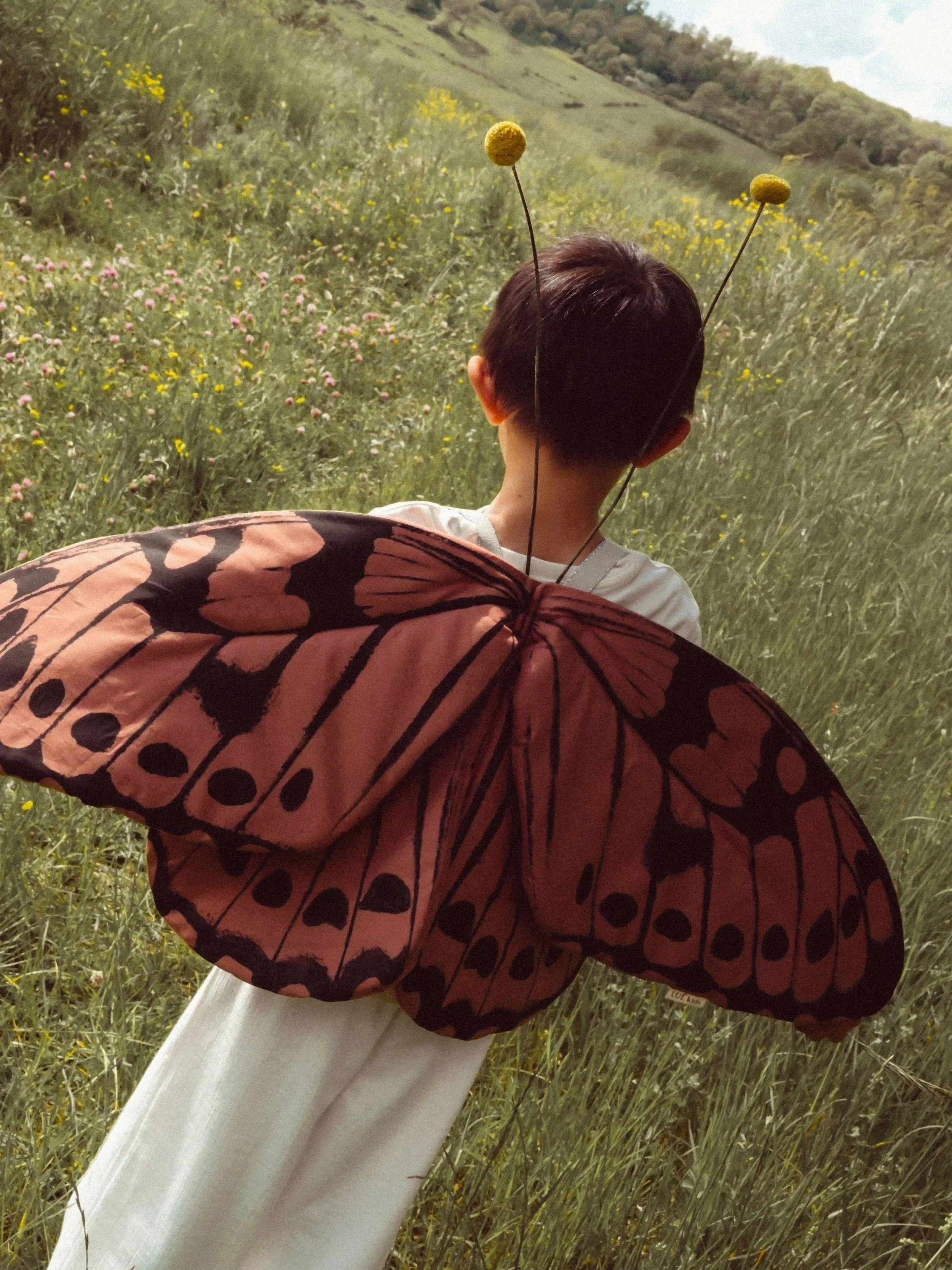 Butterfly Wings, Terracotta