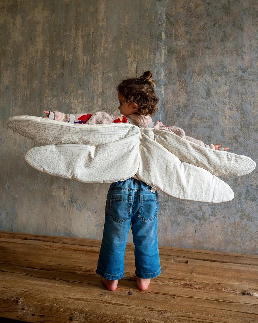 Dragonfly Wings