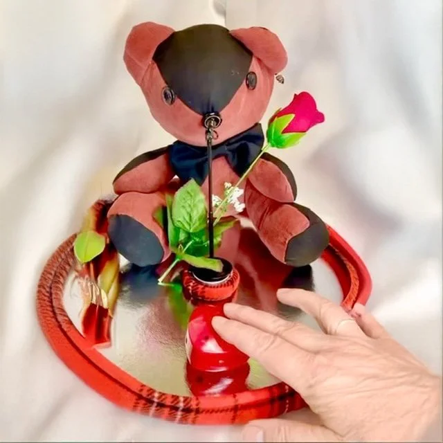 Z Paddy~Bear Video Cover.jpg