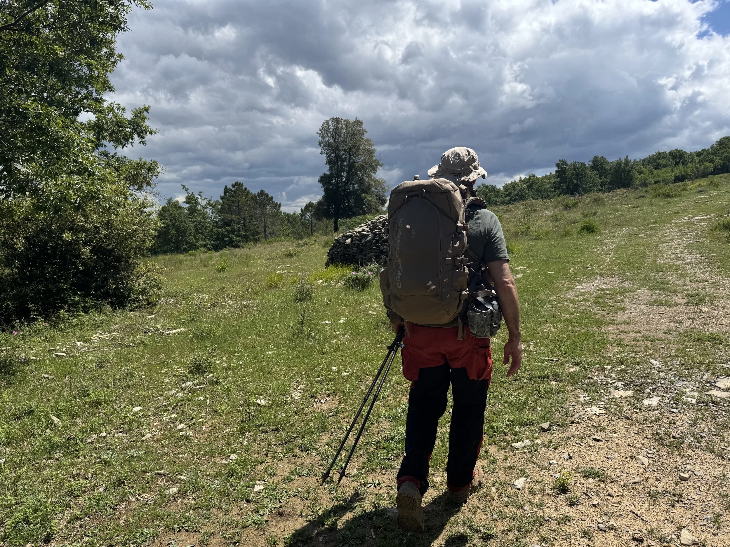 Il negozio è nuovamente attivo