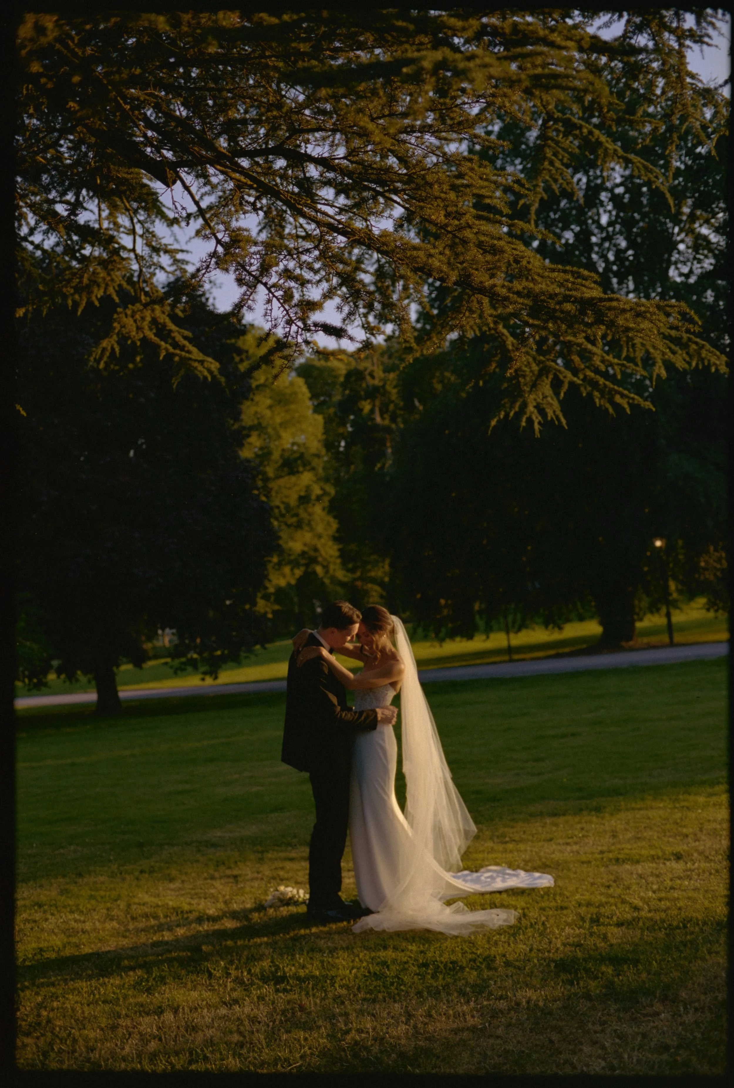 560_Jackie&Daniel_MattJohnsonWeddings.jpg