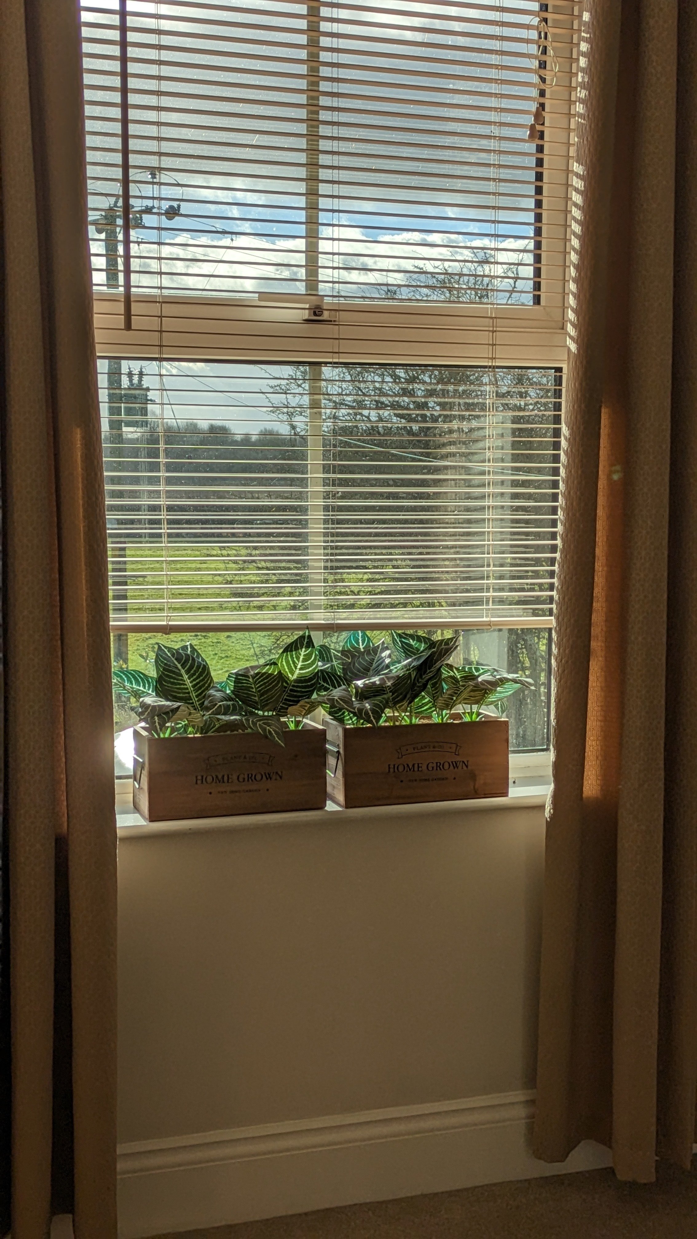 Clayfield Farmhouse window upstairs with potted plants