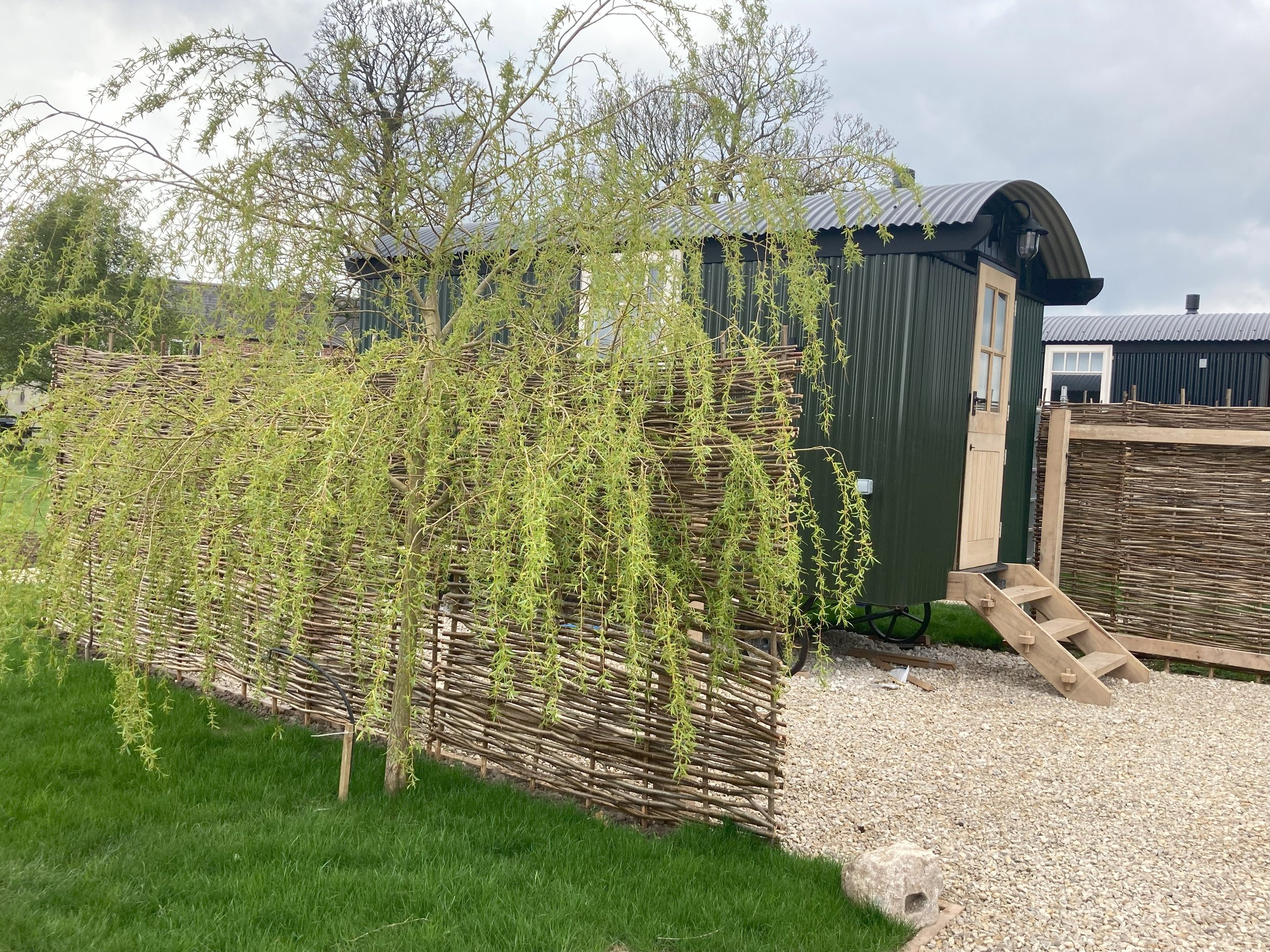 Clayfield Farm shepherd's hut outside private patio with willow tree