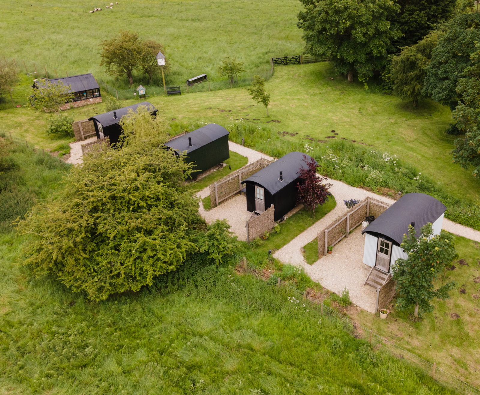 Aerial view of a row of four small cabins with black roofs and white trim, surrounded by green trees and grass, with gravel pathways in between.