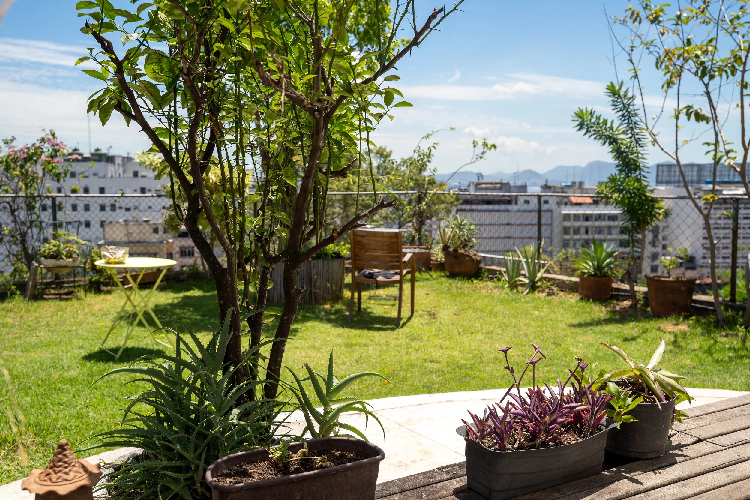 garden.jpg
