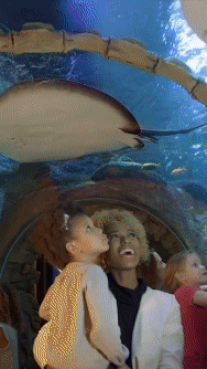 Motion Graphics (16).gif