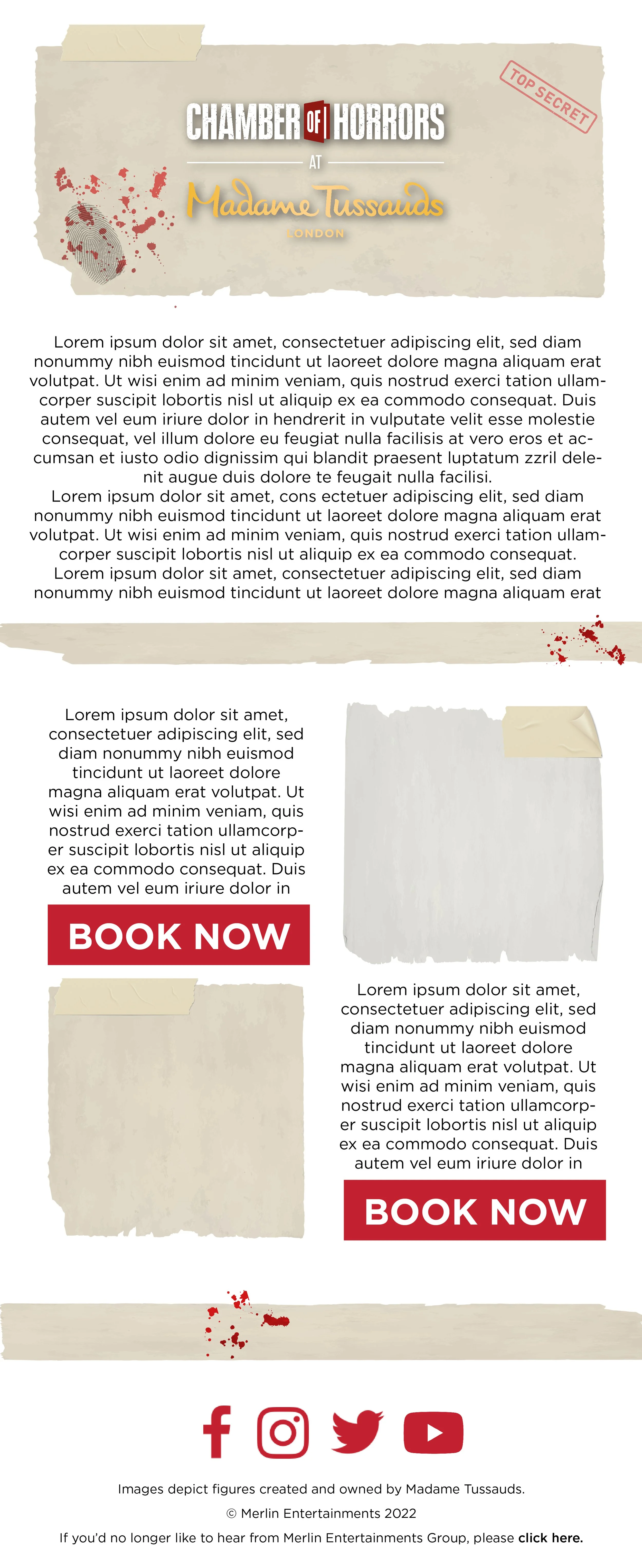 Email_Design (9).jpg