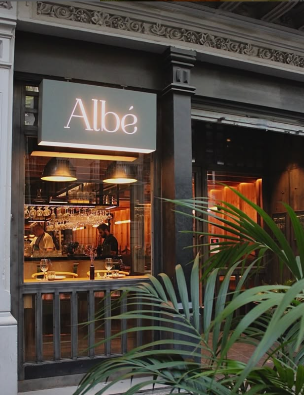 Albé y The Bean Consultancy_03.png