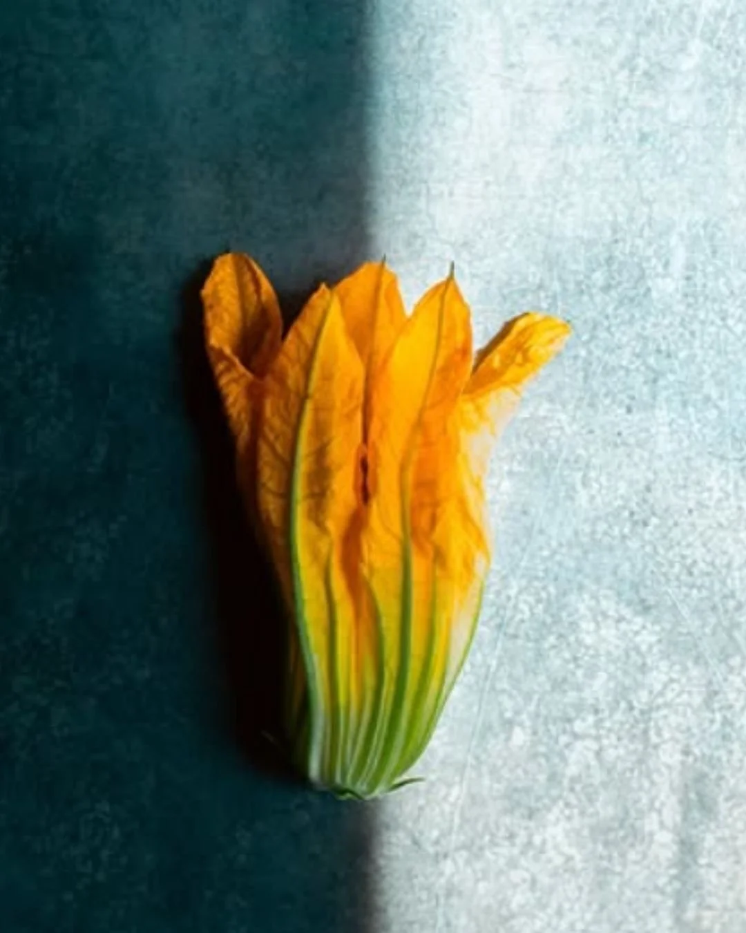 Lluerna y The Bean Consultancy_10.jpg