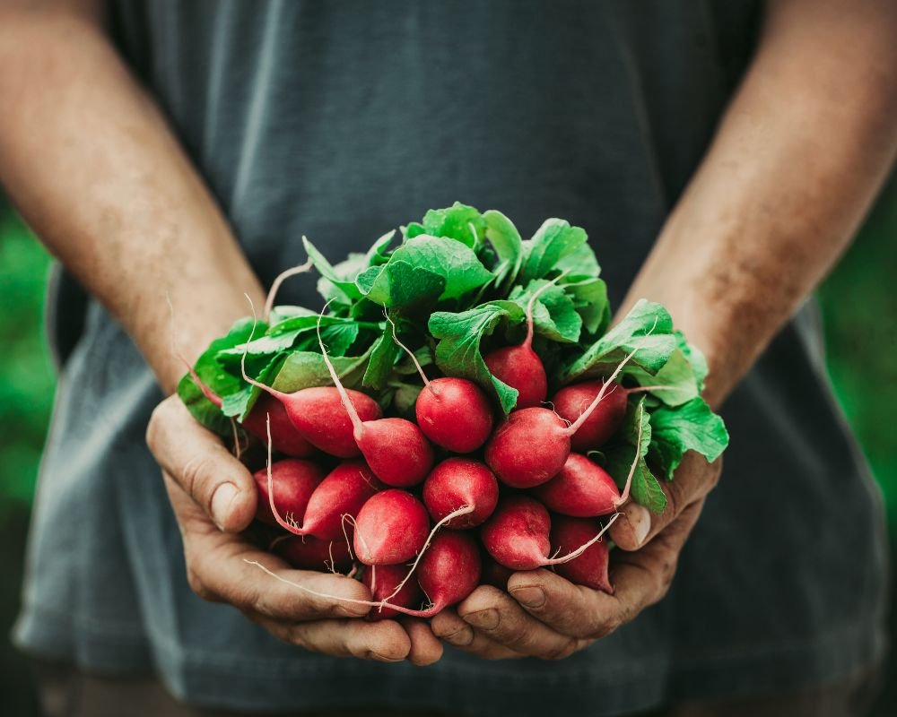 The Bean Consultancy_Ingredients_31.jpg