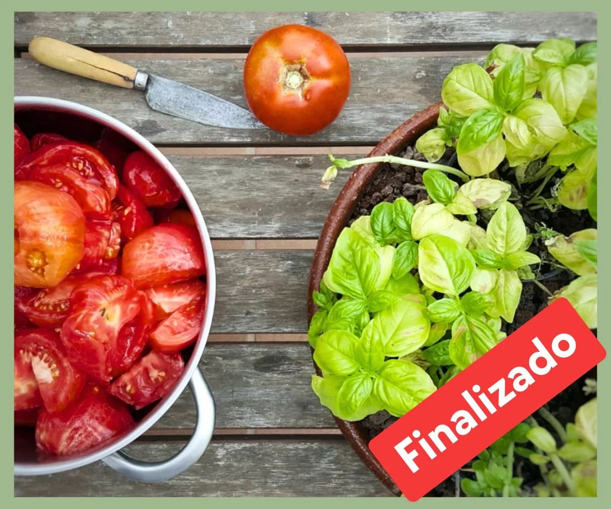 Recetas de Verano_Taller de Cocina Vegana_The Bean Consultancy