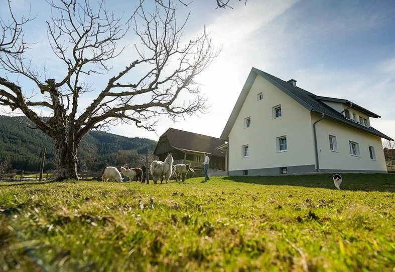 binderhof.jpg