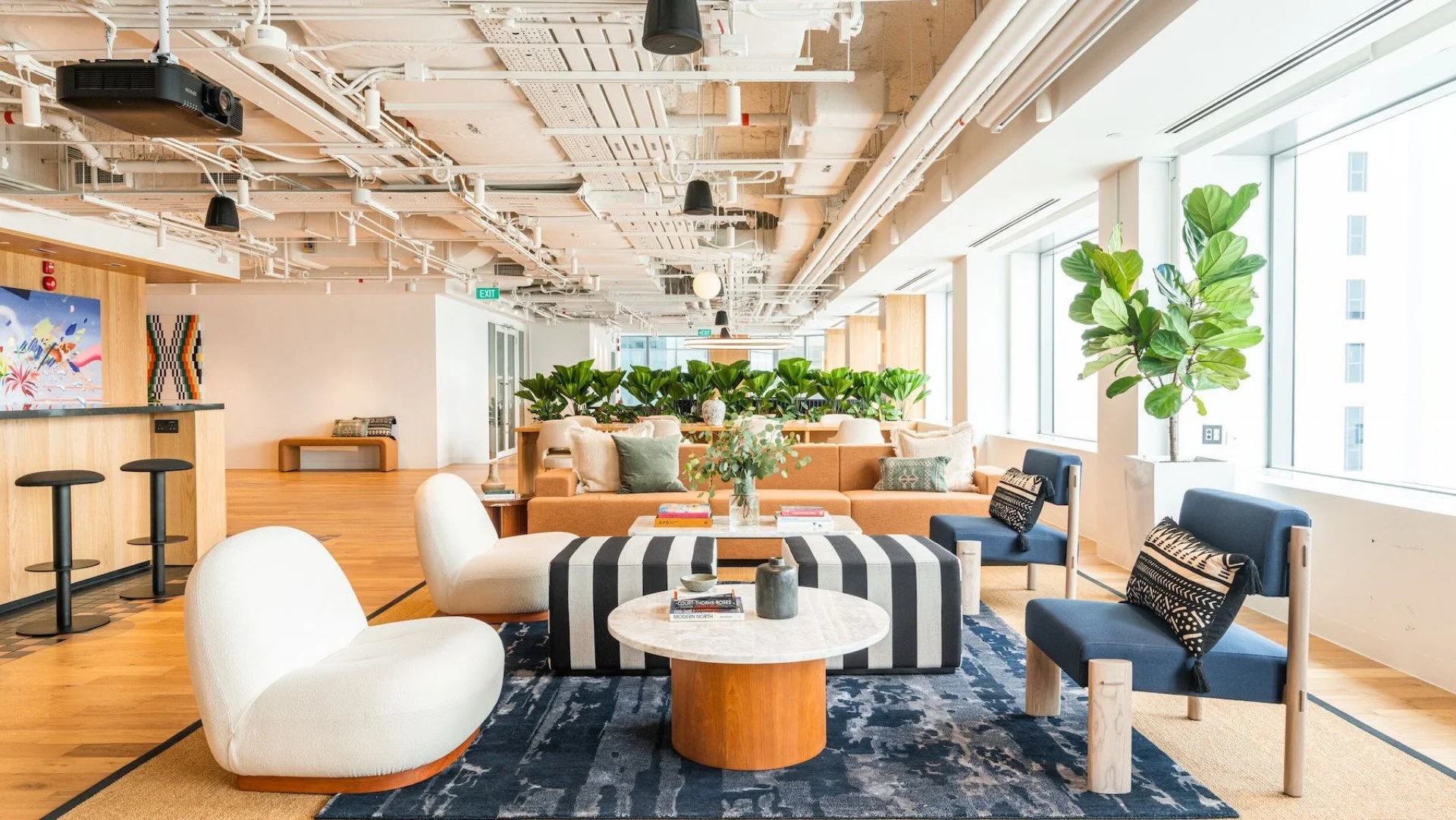 Search for new talents