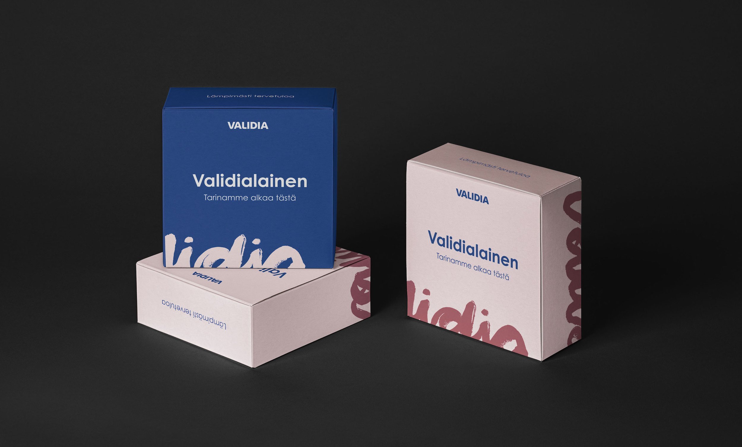 cases_validia_boxes_newlogo+copy.jpg