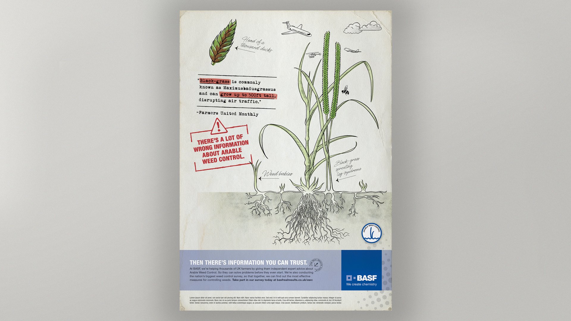 BASF_BlackGrass.jpg