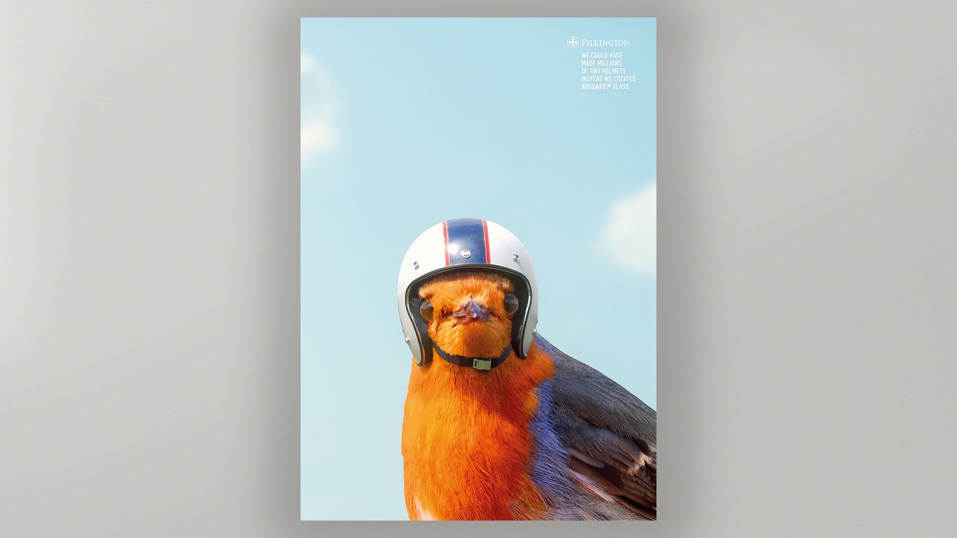 CD_PilkingtonBird.jpg