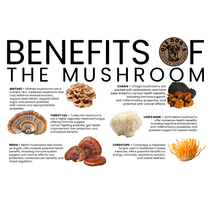 benefits of mushroom-2.png