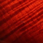 Blood Moon