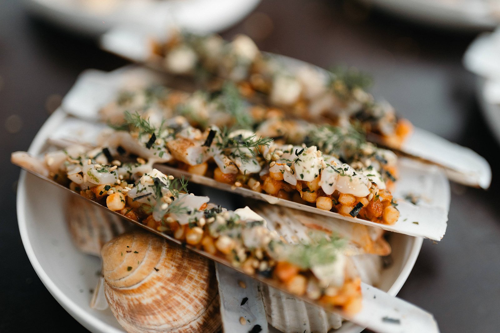 frankieandfish-heidi_benoit-day2-572.jpg