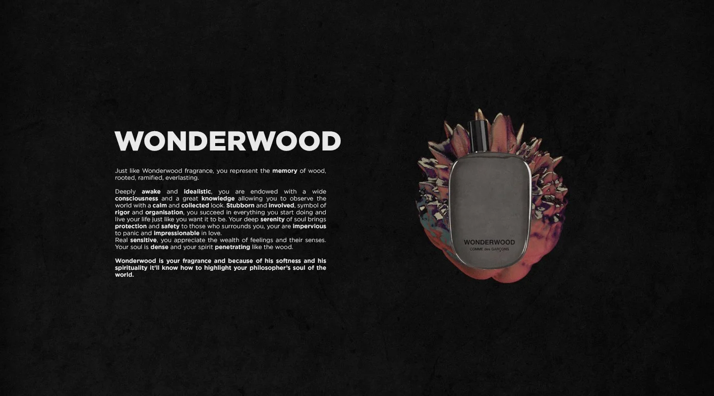 WONDERWOOD.jpg