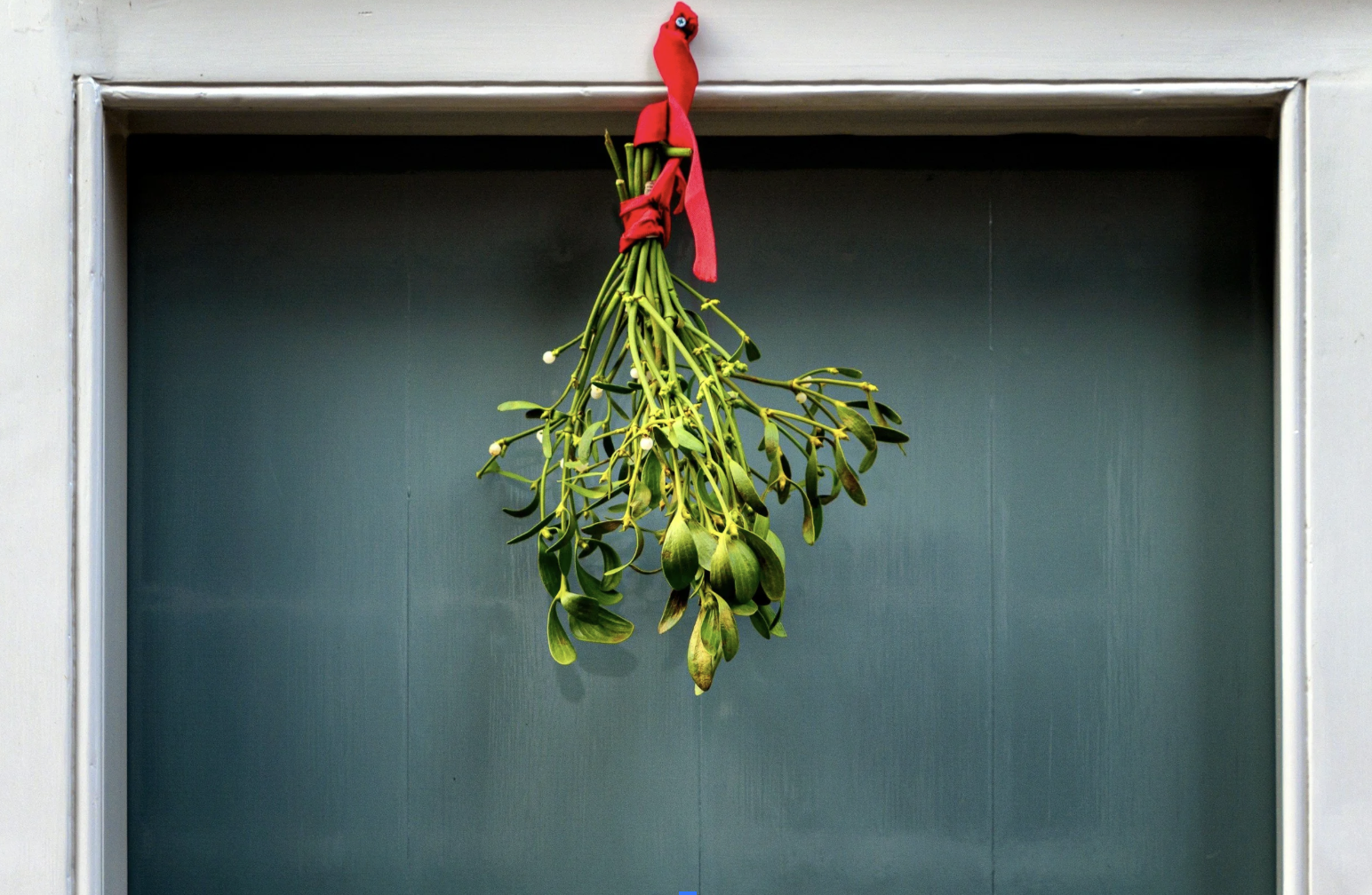 Mistletoe &amp; Mimosas