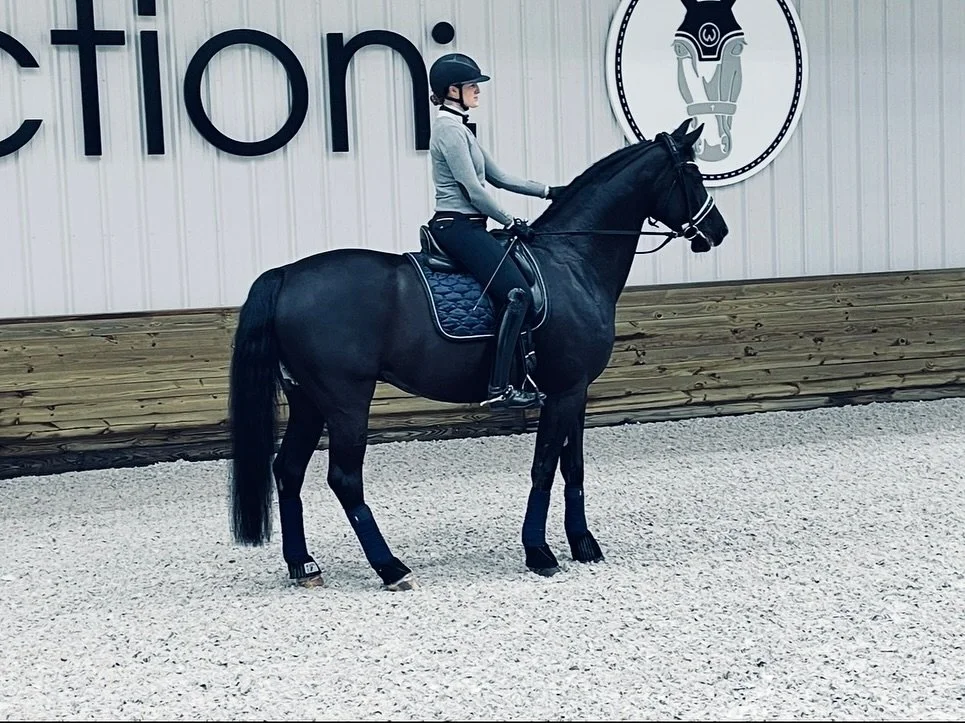 ✨ 1 Training Spot Available for the 2026 Season &ndash; Ocala, FL ✨

We only have room for one more horse in full or partial training for the 2026 season. 

I am overwhelmed with gratitude for how many incredible riders and horses have stepped into o