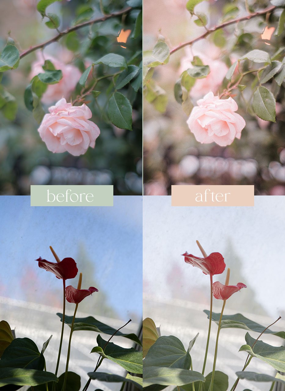 Bloom-&-grain-before-after-04.jpg
