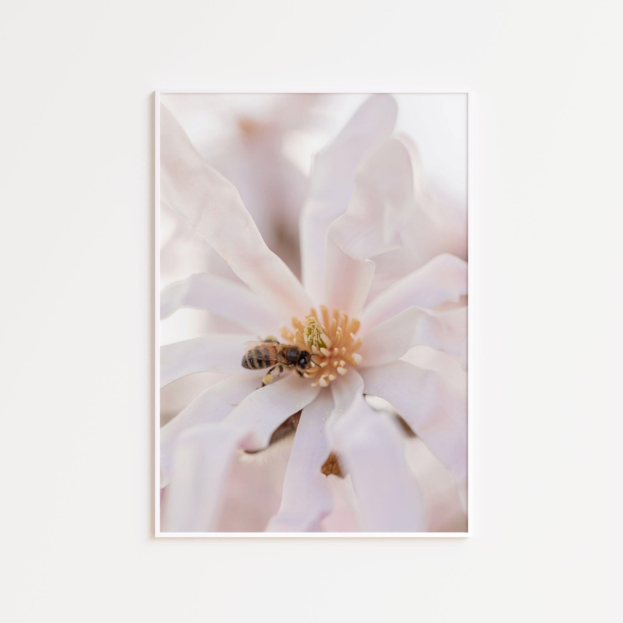 save-the-bees-01.jpg