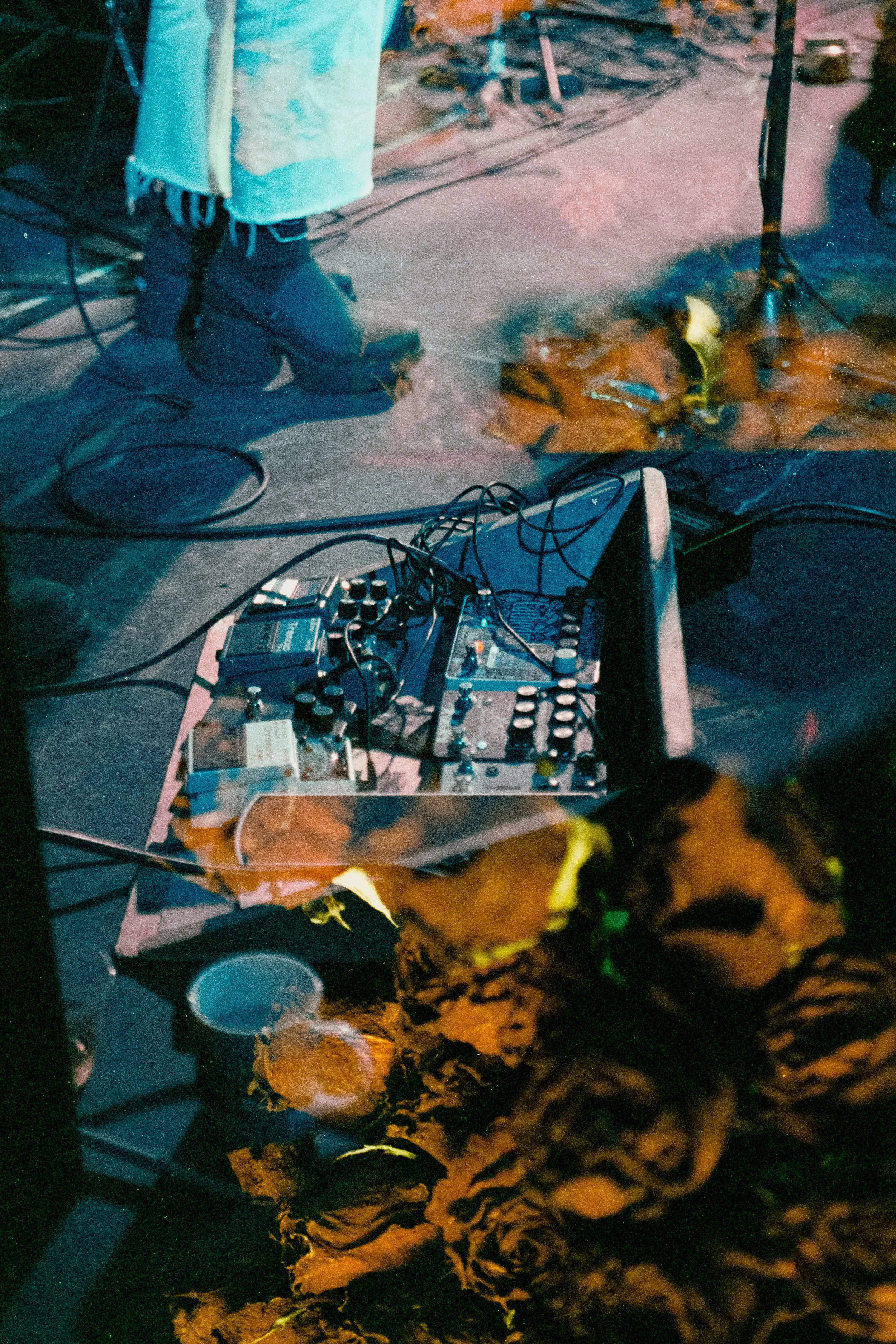 VERVAIN-7.jpg
