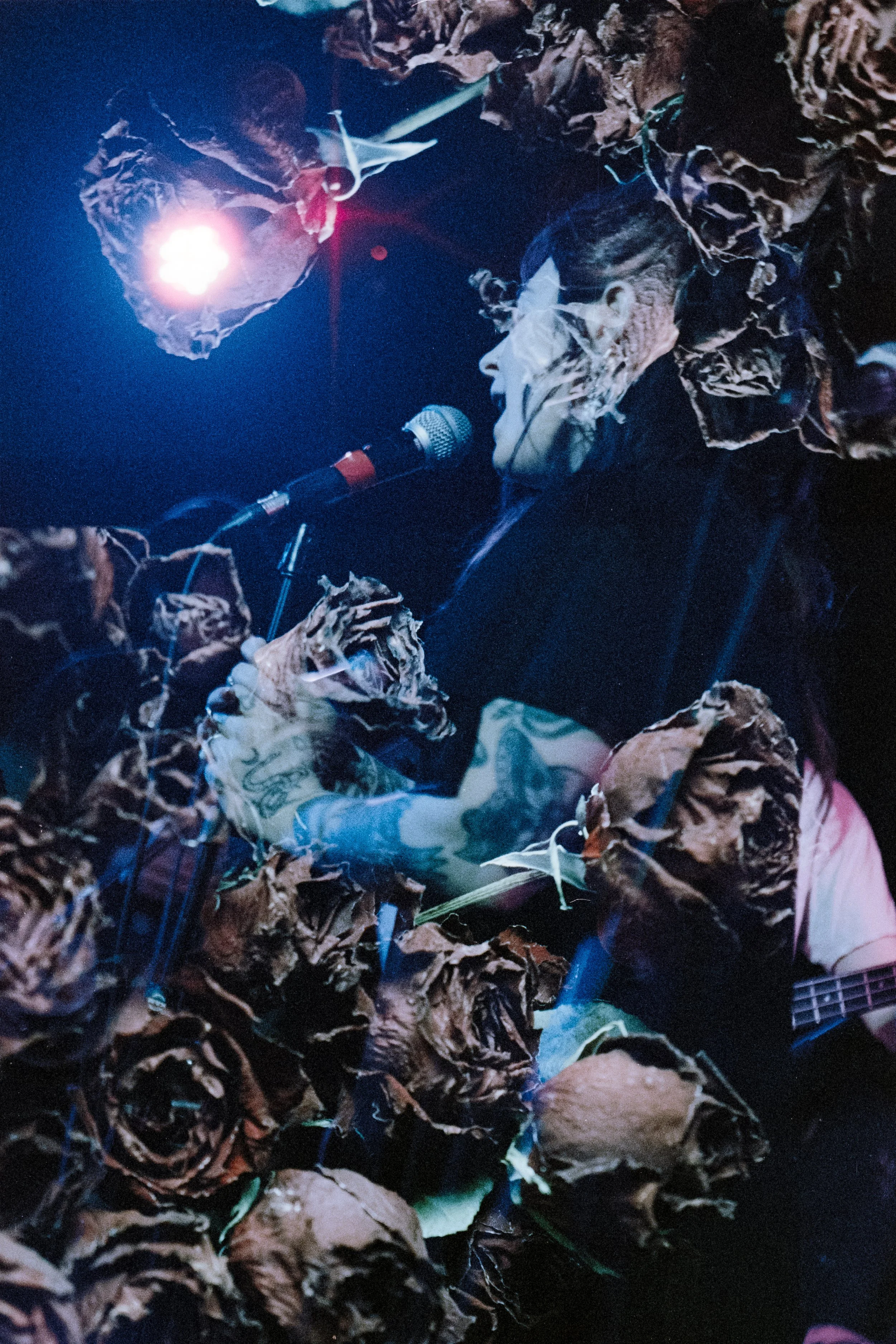 VERVAIN-34.jpg