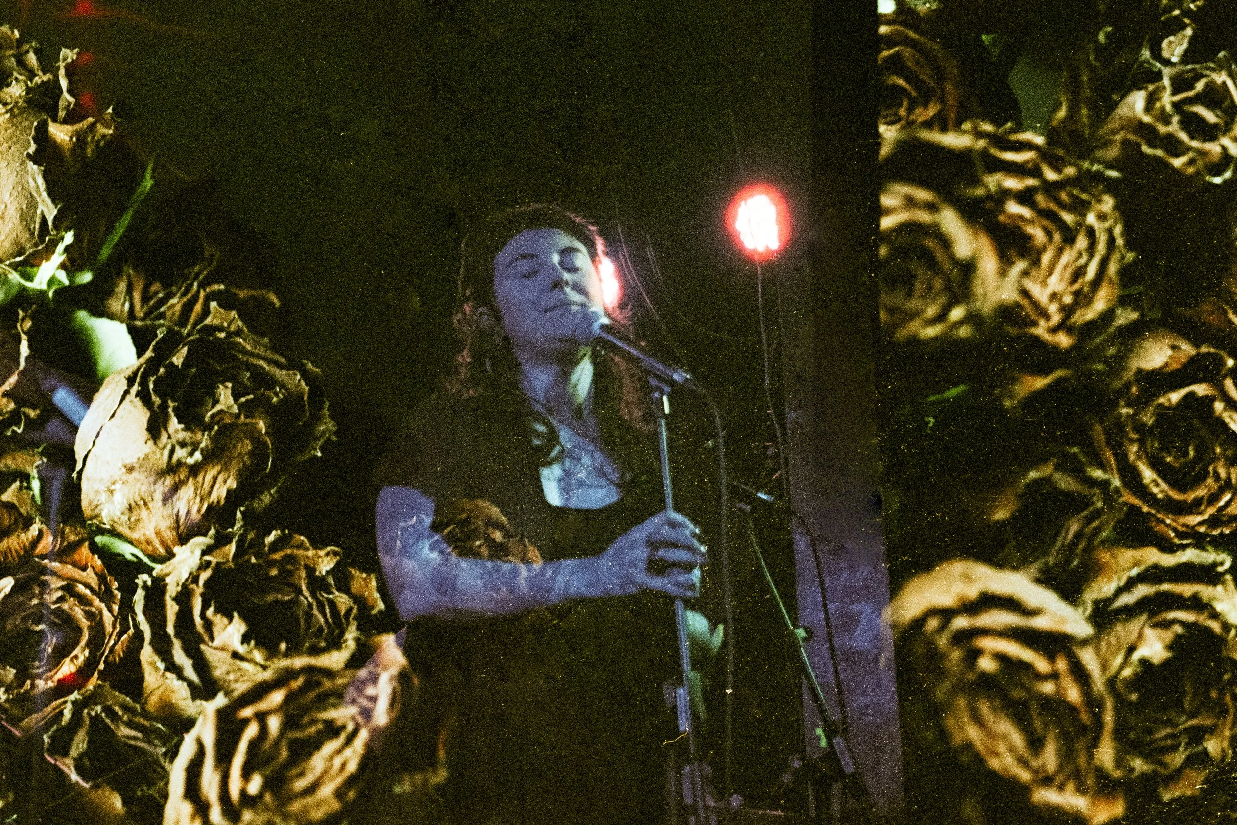 VERVAIN-35.jpg