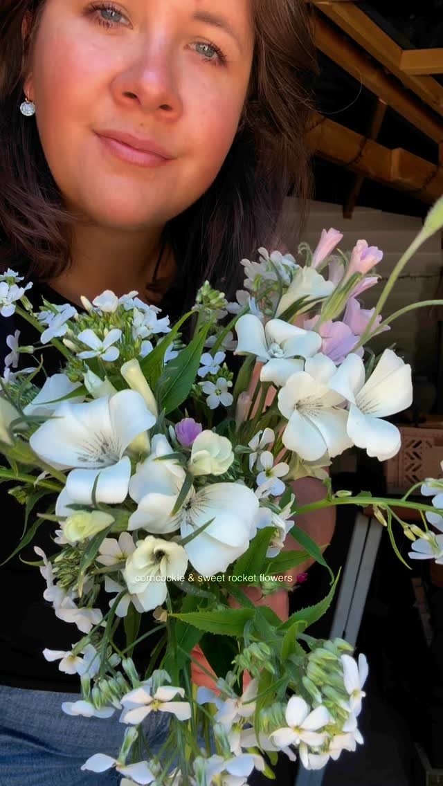 Hands up if you’re in their fan club! 🤩👋🏻
These are some of my absolute favourite stems, and they’ve all been grown by us!
I can’t wait to use them more and more over the next few months 🤍
#springweddingflowers
#summerweddi