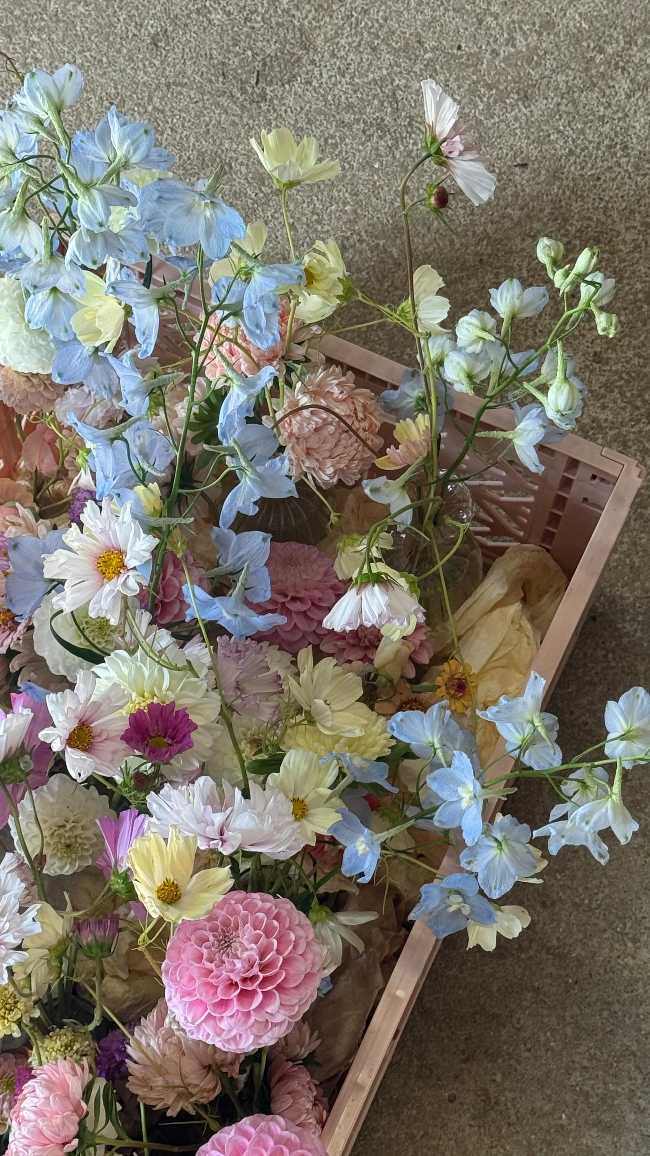 Soft pastel tones with contemporary styling β¨
Brightening up the room for E&T’s beautiful wedding, which featured typical British weather π§οΈπ
but that didn’t stop them from having their perfect day!
With all flowers grown by us, a