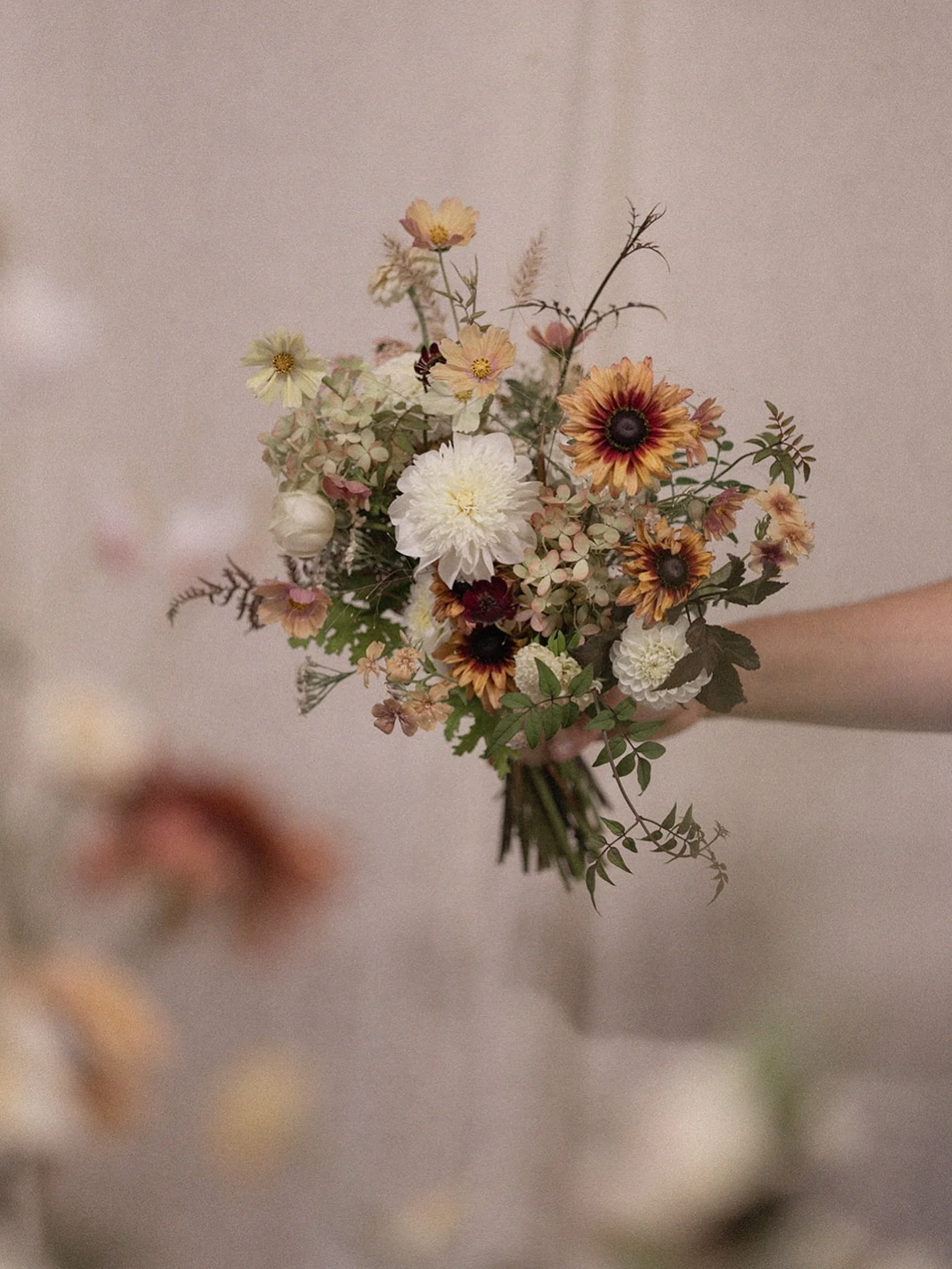 Autumn in a bouquet 🍂 with all English stems, all grown by us ✨

I really love a soft Autumnal palette. There are so many stunning light tones in the season, especially in the flowers! Just like the off white and cream dahlias, yellow and apricot co