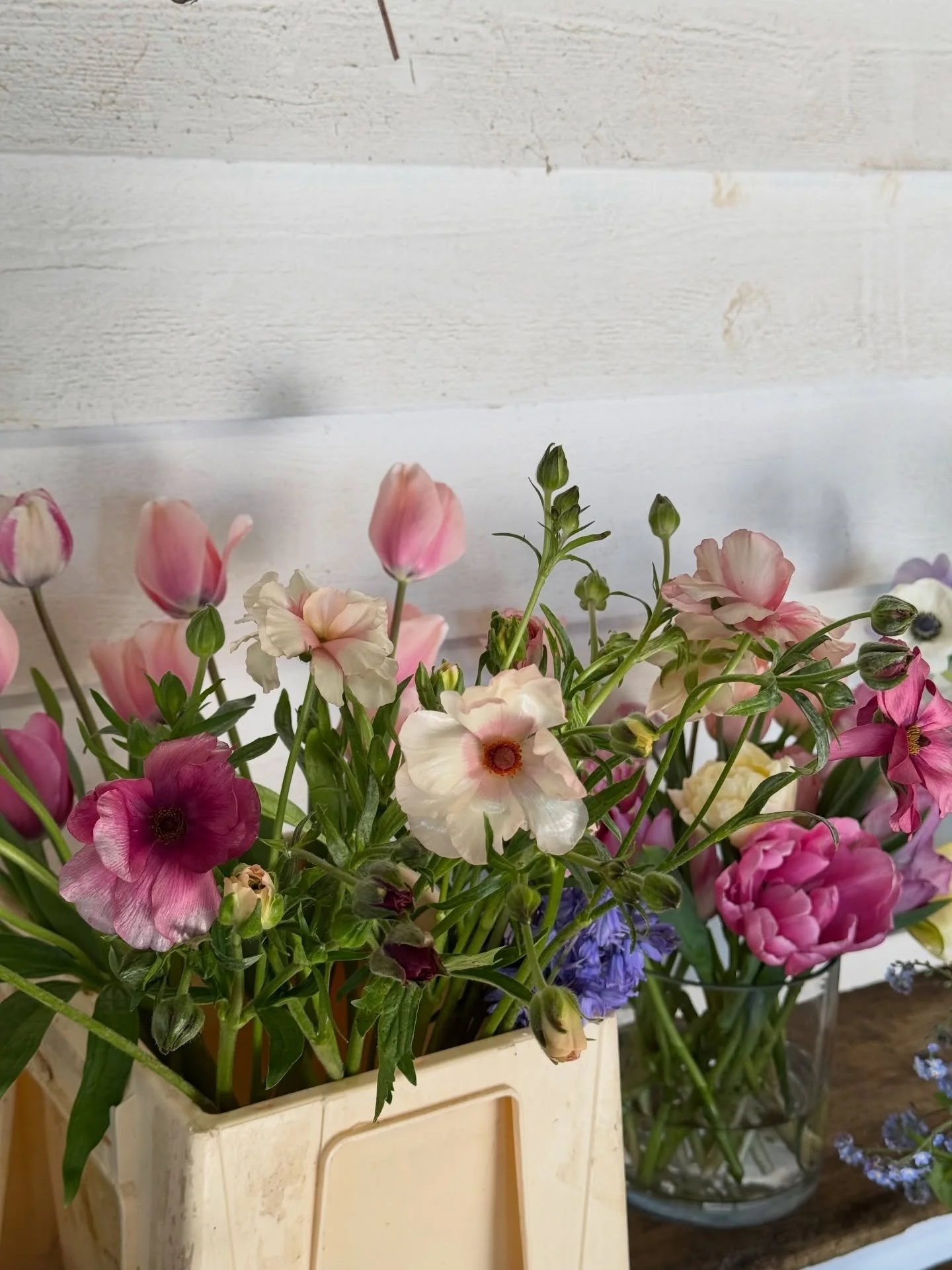 Buckets of spring 🌷are on the horizon and I am SO ready ☀️✨💗

Fancy daffs are making an appearance, the ranunculus are budding, the blossom is blooming, and the anemones are starting to thrive. With the most beautiful Spring weddings coming up this