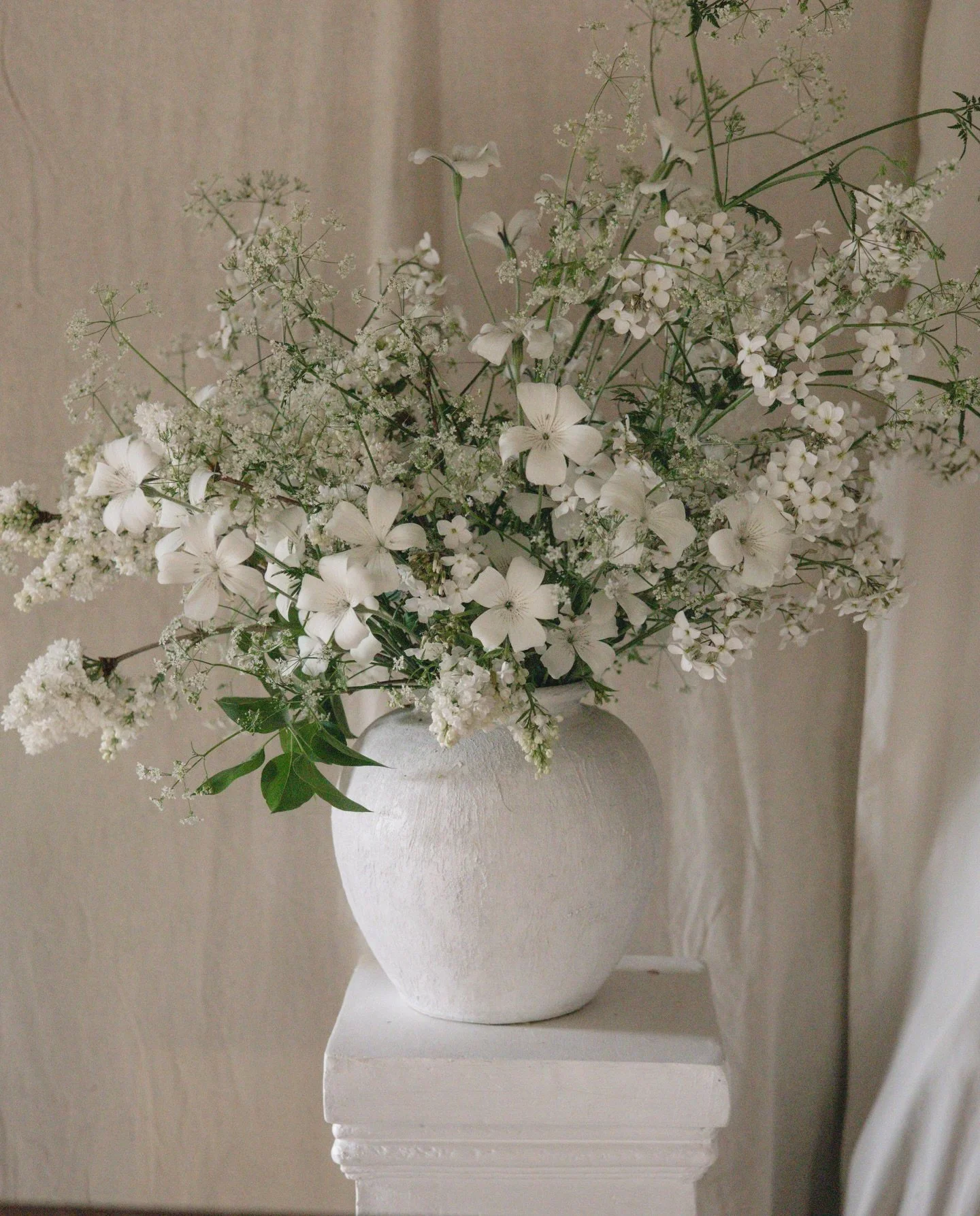 Hello to the month of FROTH 🤍🕊️

Any peonies of couuuurse 🫶🏻

May is one of our busiest months this year - with so many beautiful weddings and events, as well as lots of planting out our summer flowers 🌱

Very exciting times are ahead, I can&rsq