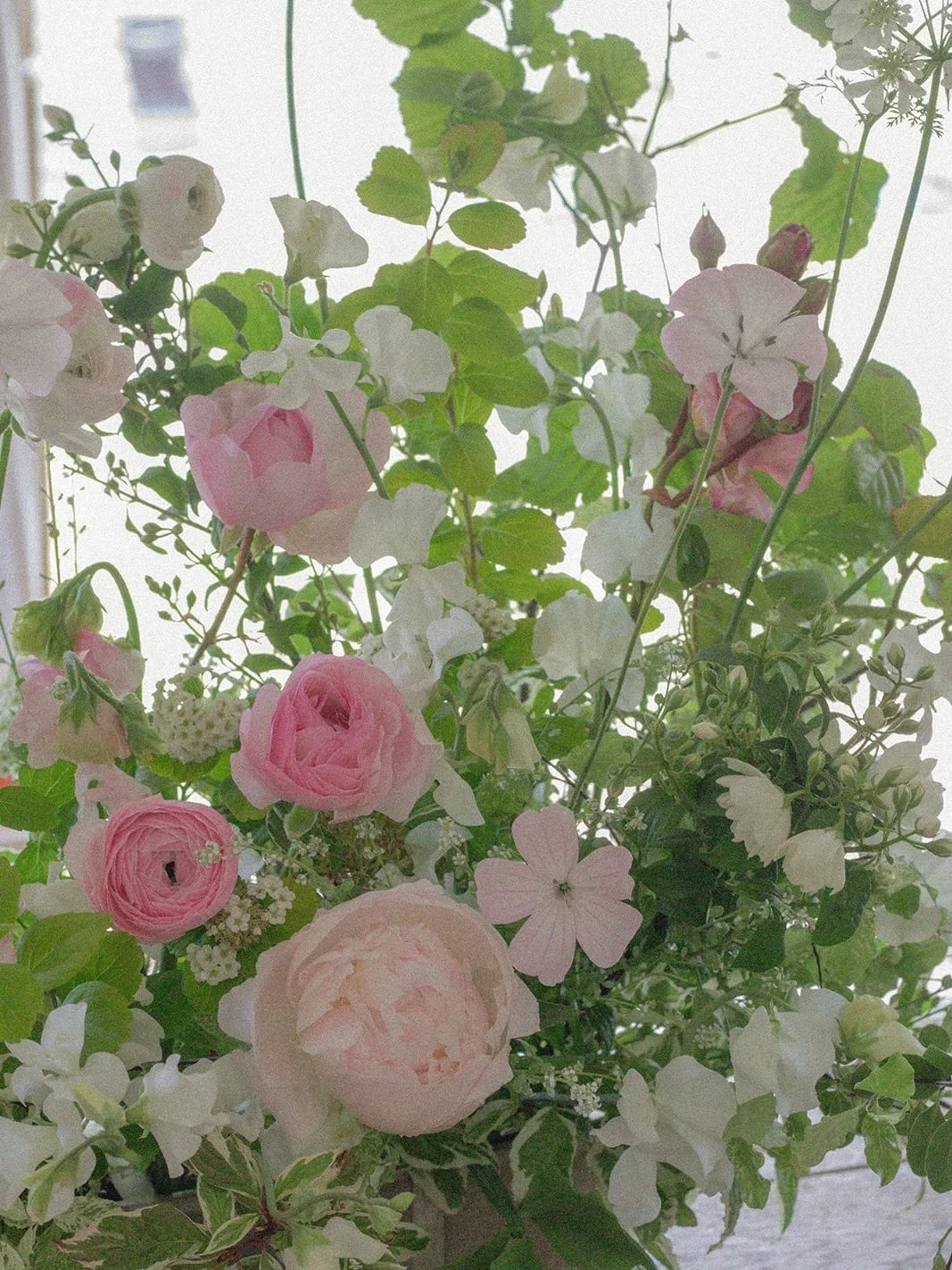 Studio snaps 🌸🤍✨ of L&amp;E&rsquo;s simply seasonal florals 💗

Garden roses, blousy peonies, heavenly scented sweet peas, delicate corncockle and the last of the ranunculus featured in their floral selection 🌸

Super pretty gardenesque designs wi