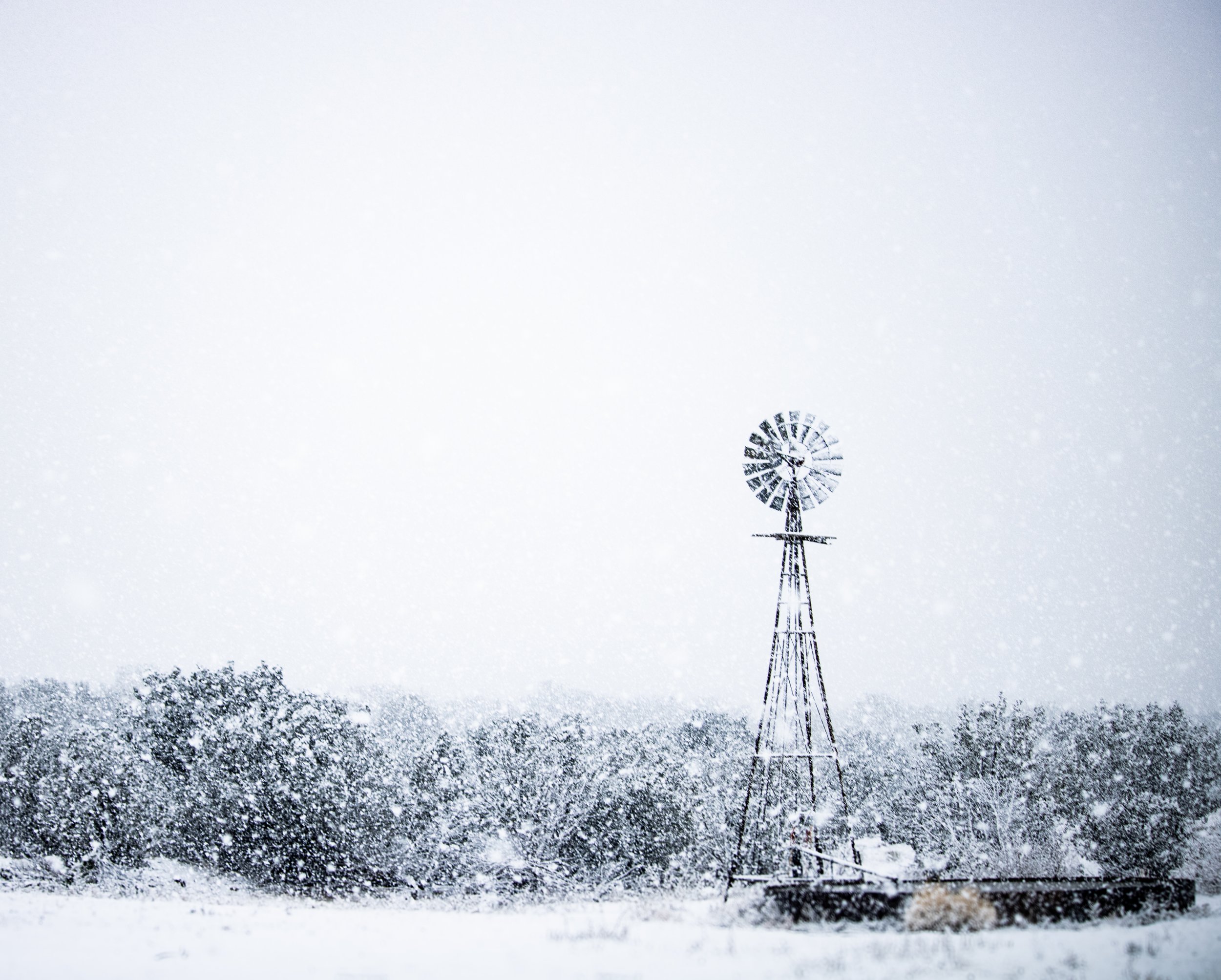Snow Globe