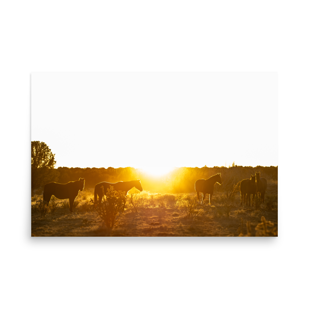 enhanced-matte-paper-poster-(in)-24x36-front-65de6c3abee8b.png