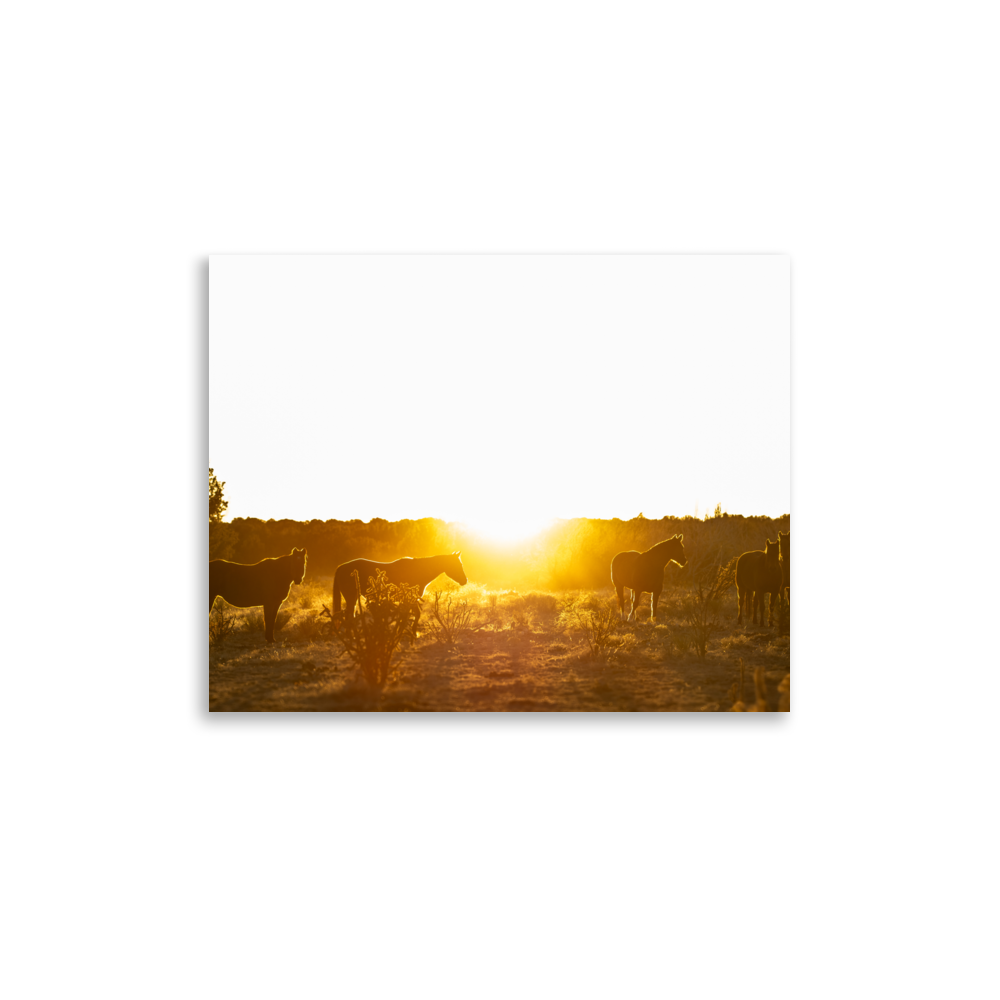 enhanced-matte-paper-poster-(in)-11x14-front-65de6c3abfcc5.png