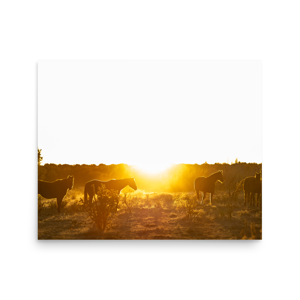 enhanced-matte-paper-poster-(in)-16x20-front-65de6c3abfda1.png