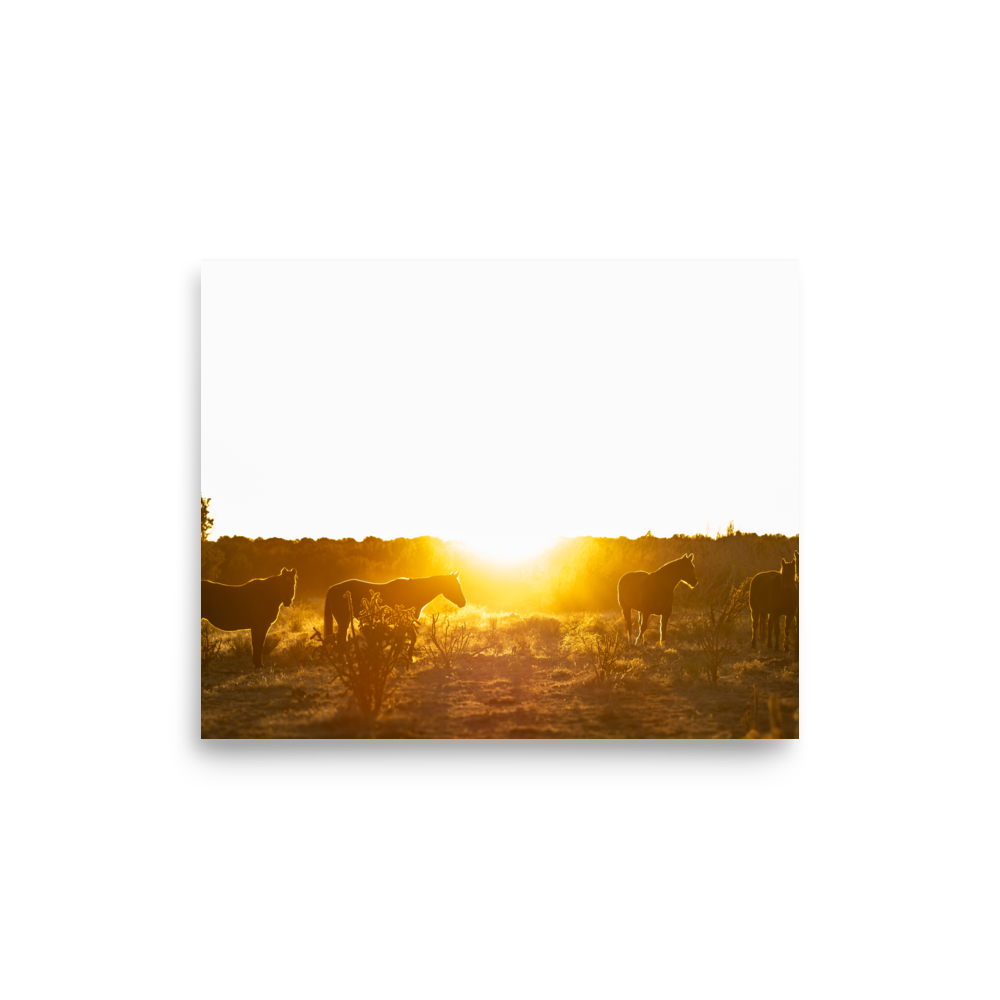 enhanced-matte-paper-poster-(in)-8x10-front-65de6c3abfece.png