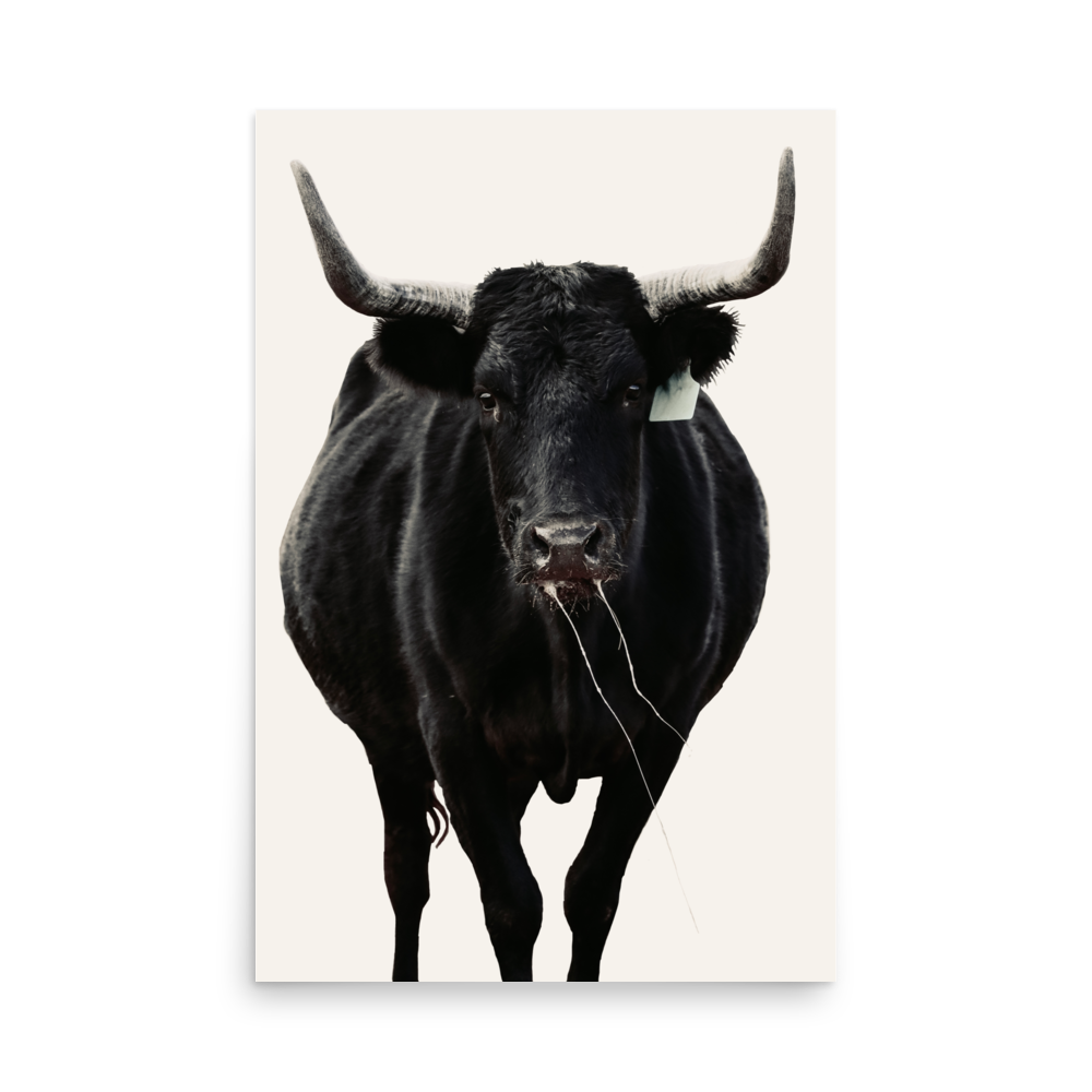 enhanced-matte-paper-poster-(in)-24x36-front-65df5e13dba6a.png