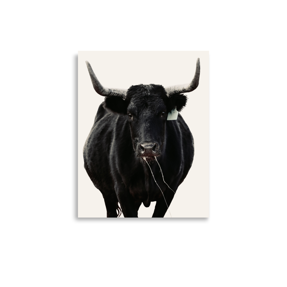enhanced-matte-paper-poster-(in)-11x14-front-65df5e13dc96b.png