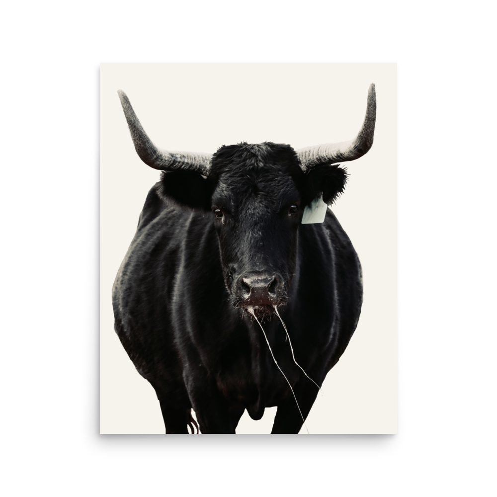 enhanced-matte-paper-poster-(in)-16x20-front-65df5e13dca5c.png