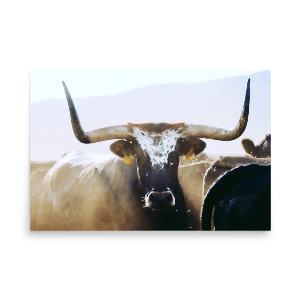 enhanced-matte-paper-poster-(in)-24x36-front-65df5effb1bea.png