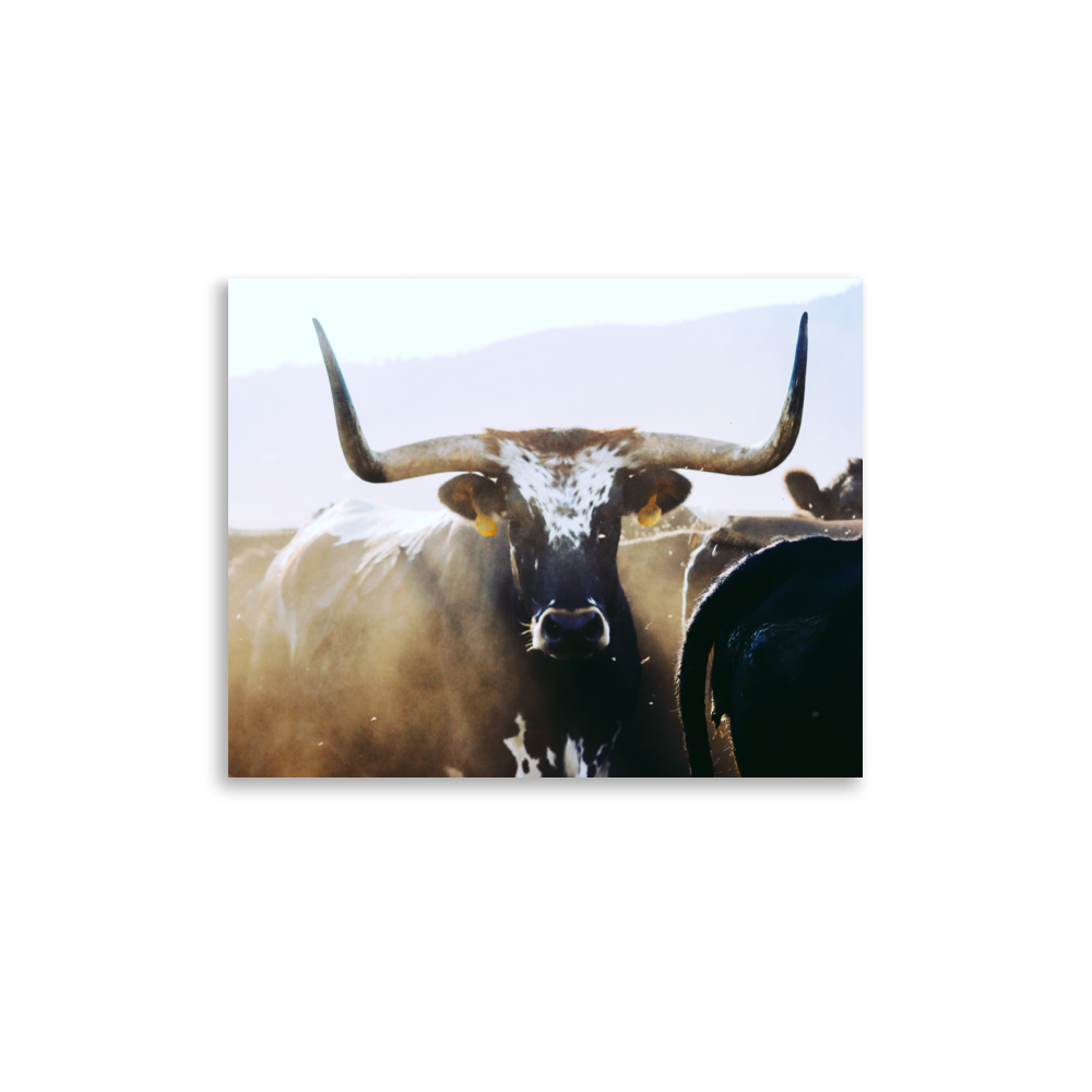 enhanced-matte-paper-poster-(in)-11x14-front-65df5effb2a76.png