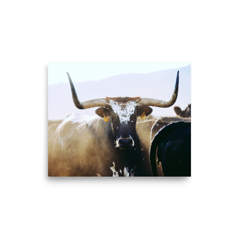 enhanced-matte-paper-poster-(in)-8x10-front-65df5effb2bcb.png